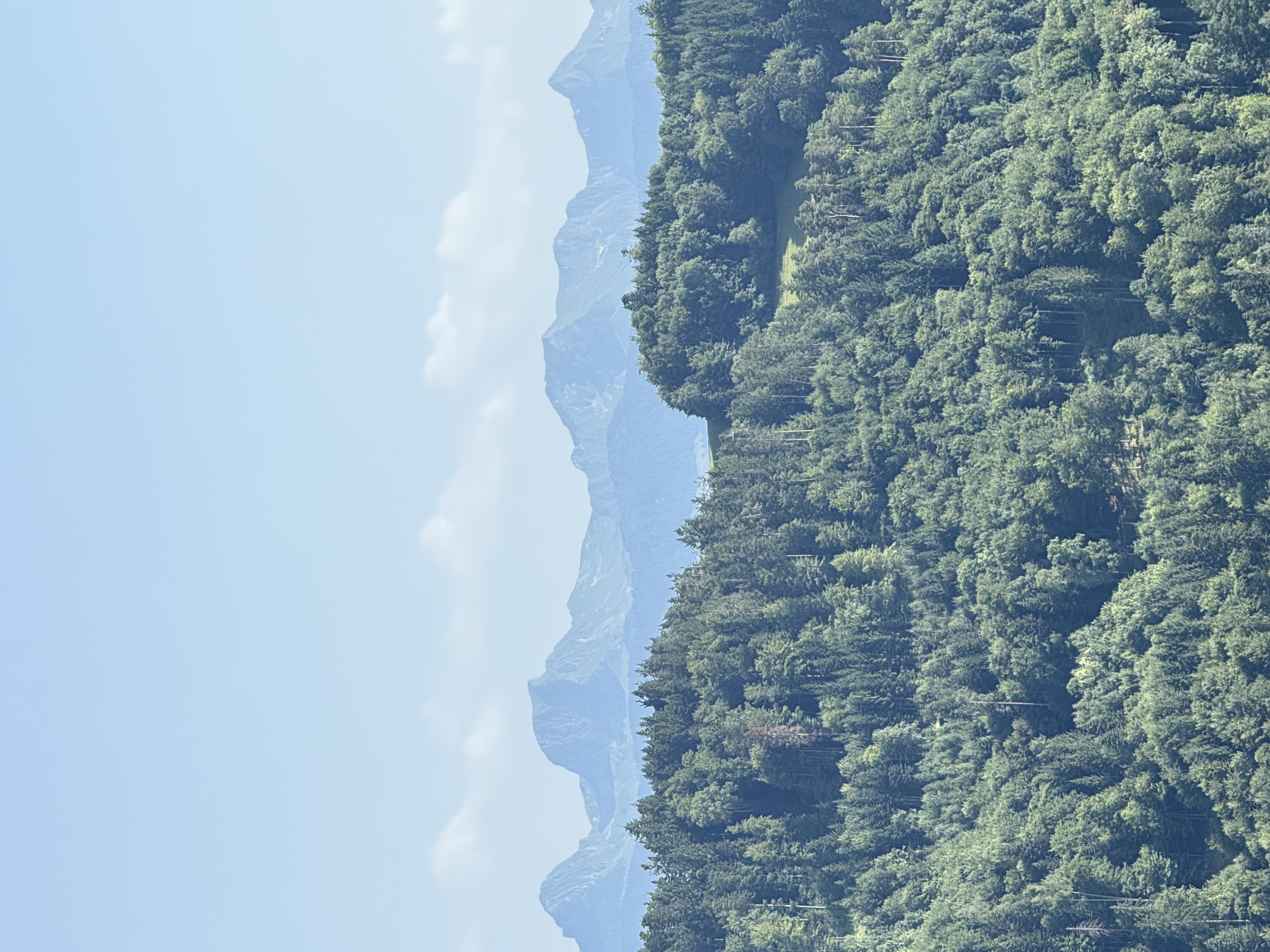 Biography of the river aare image 3