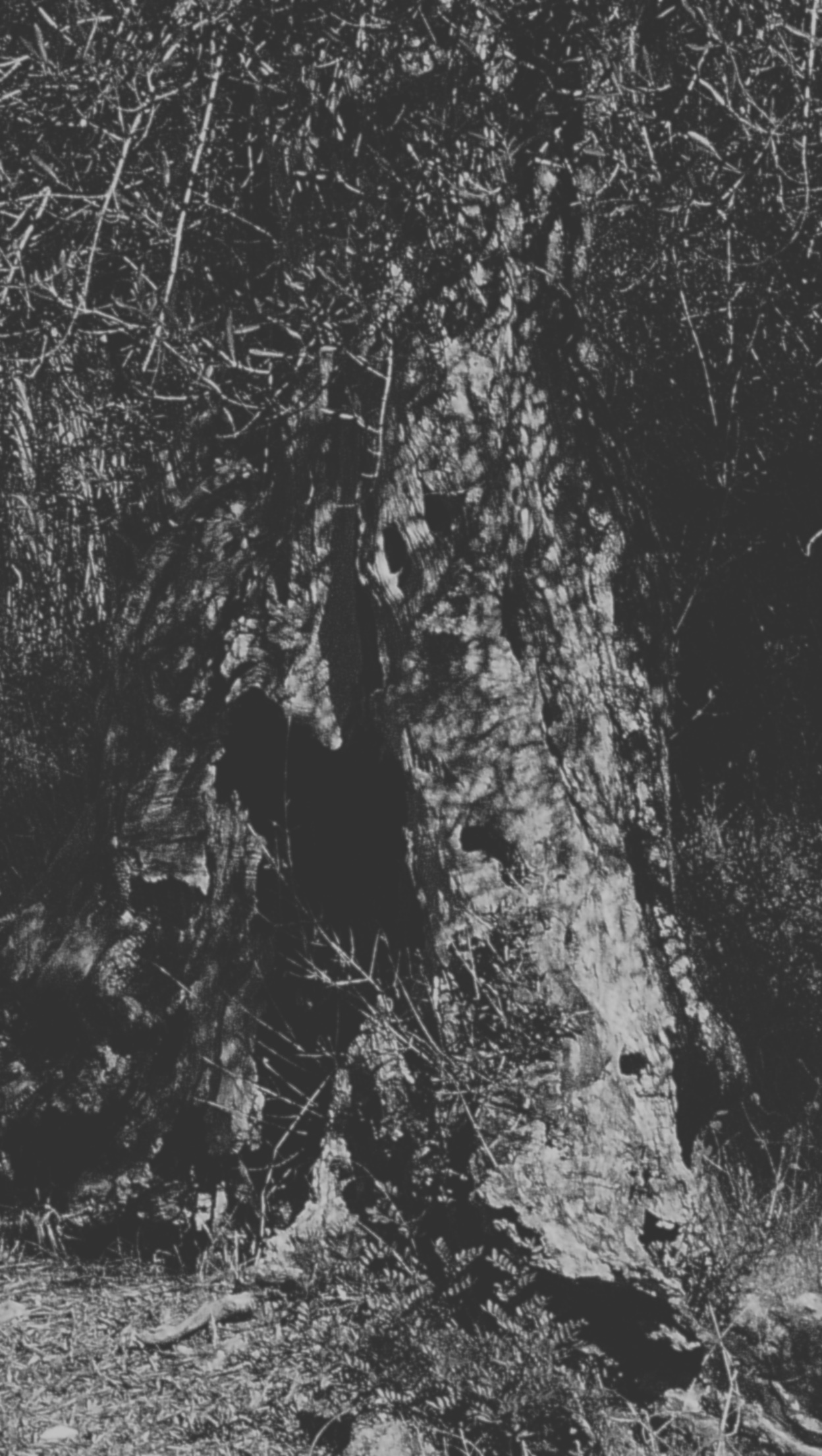 Corfu project preview