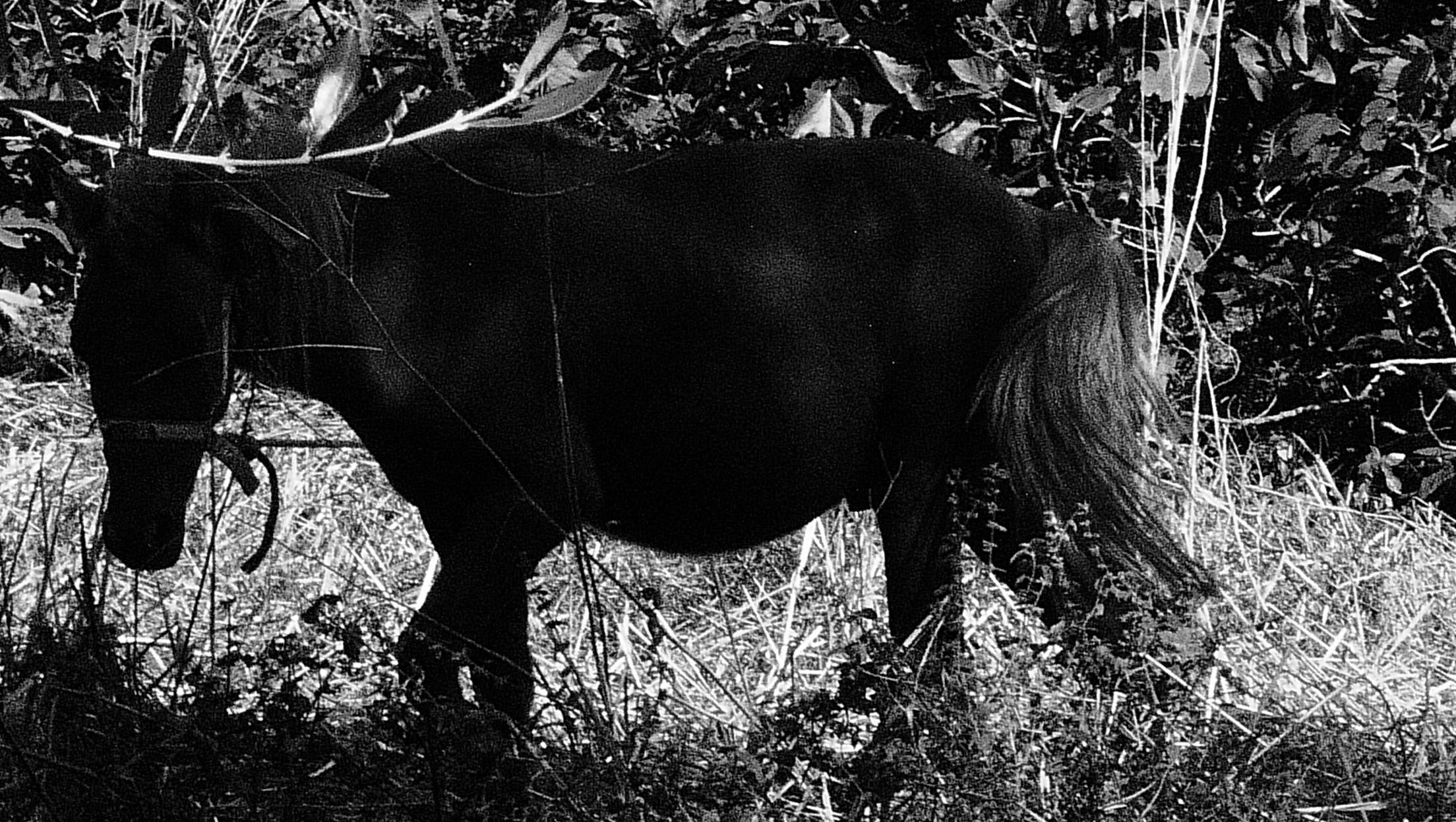 Corfu islands imaginaries image 2