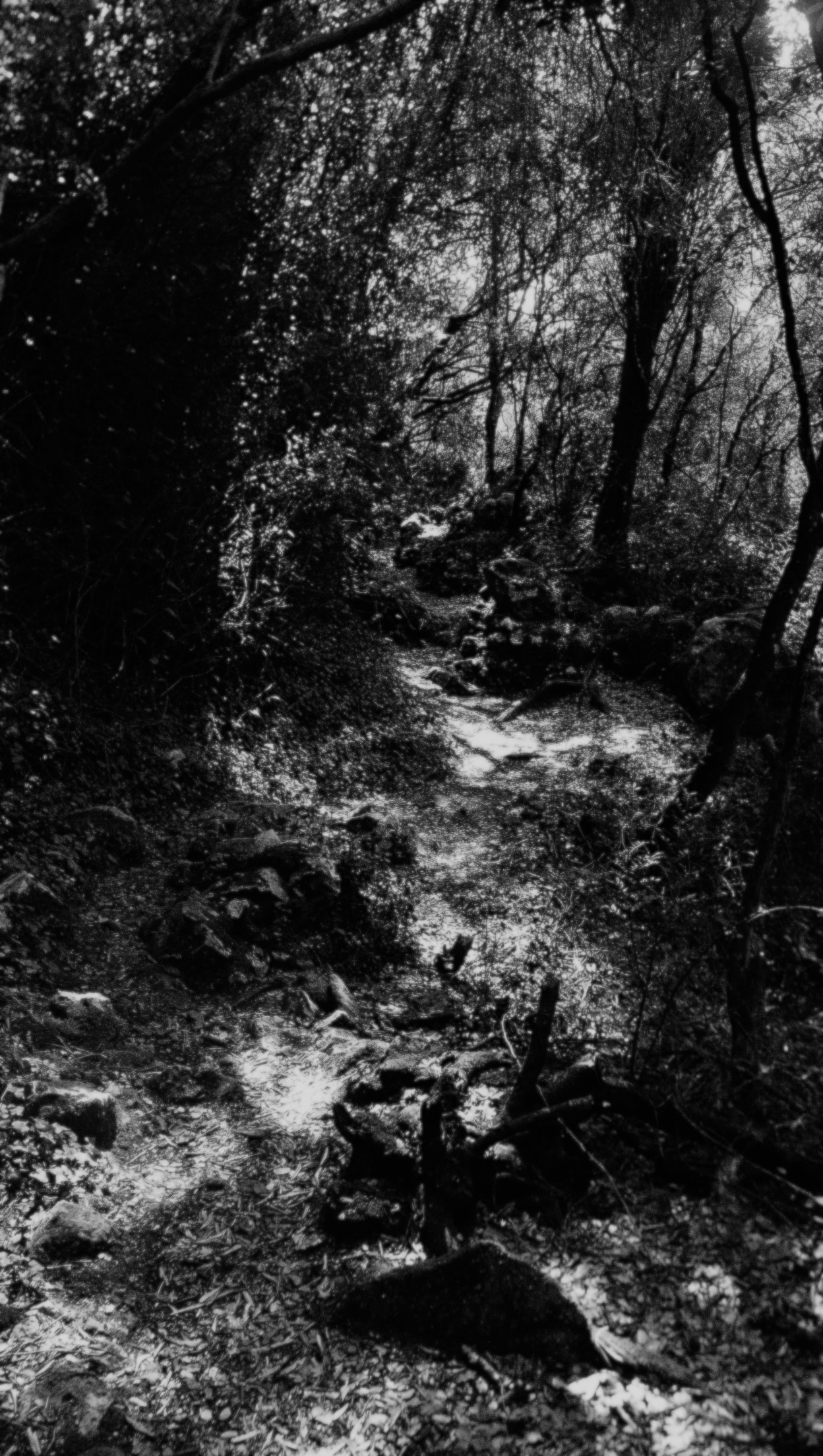 Corfu islands imaginaries image 3