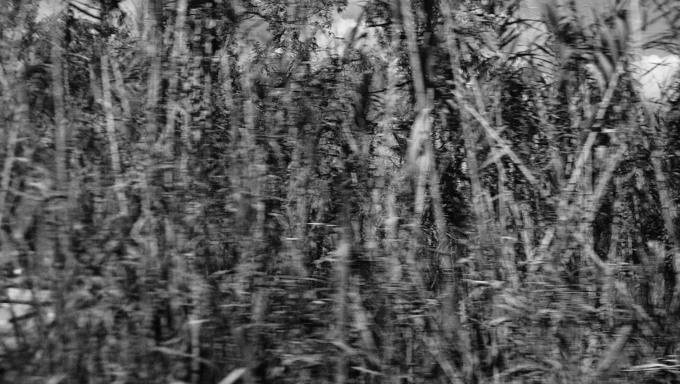 Corfu islands imaginaries image 7