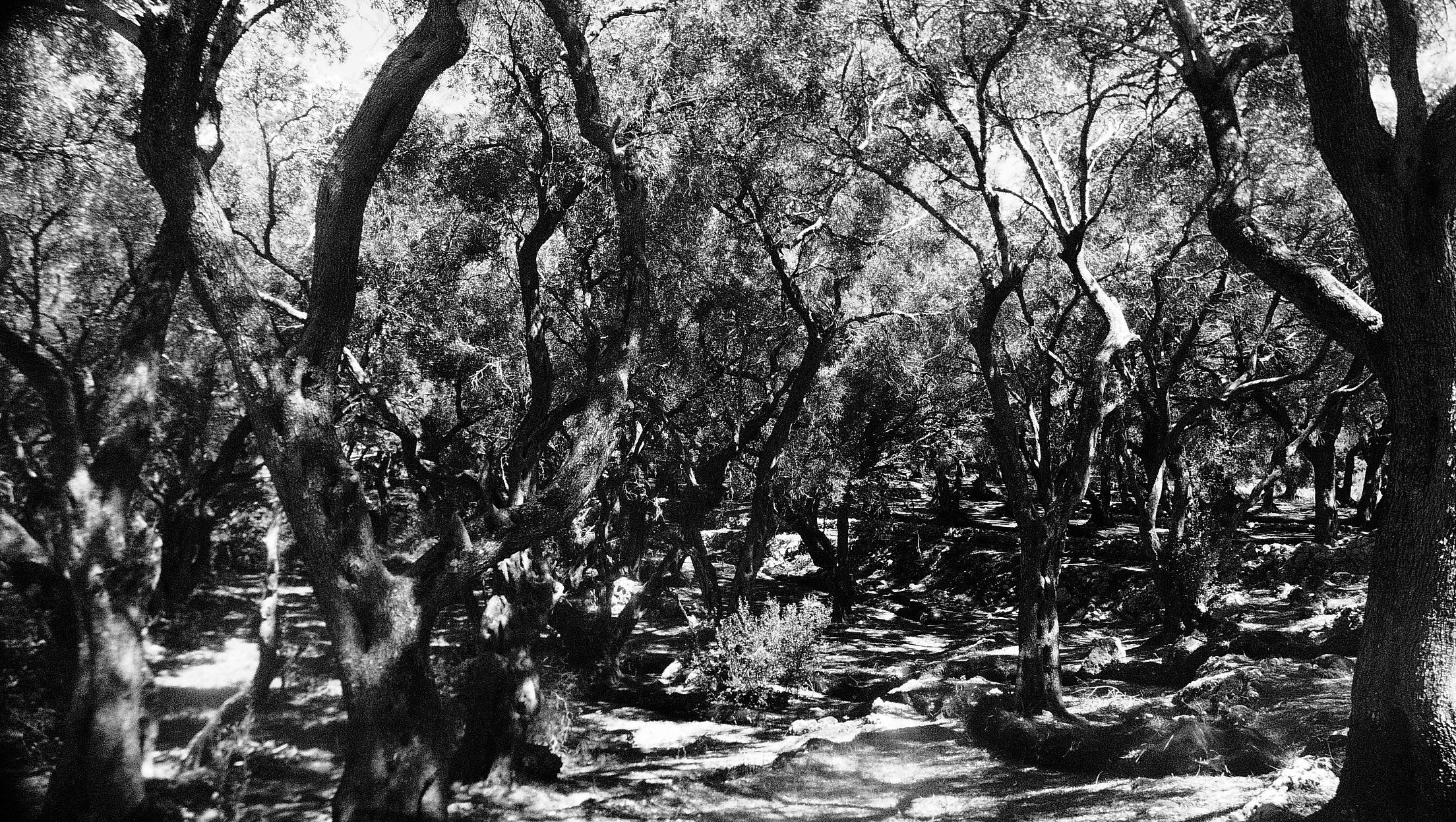 Islands listening preview