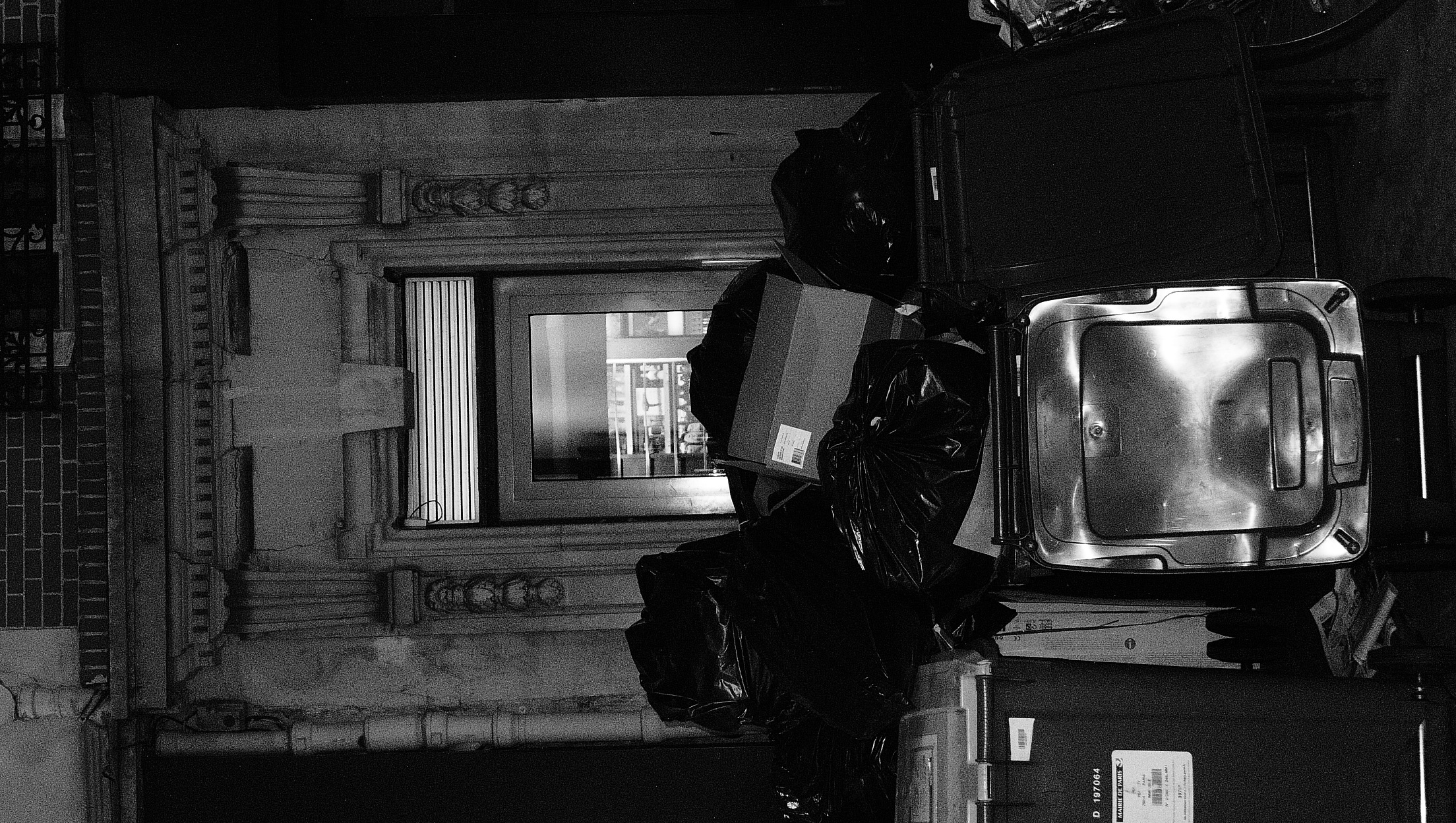 Multispecies tour in Paris preview