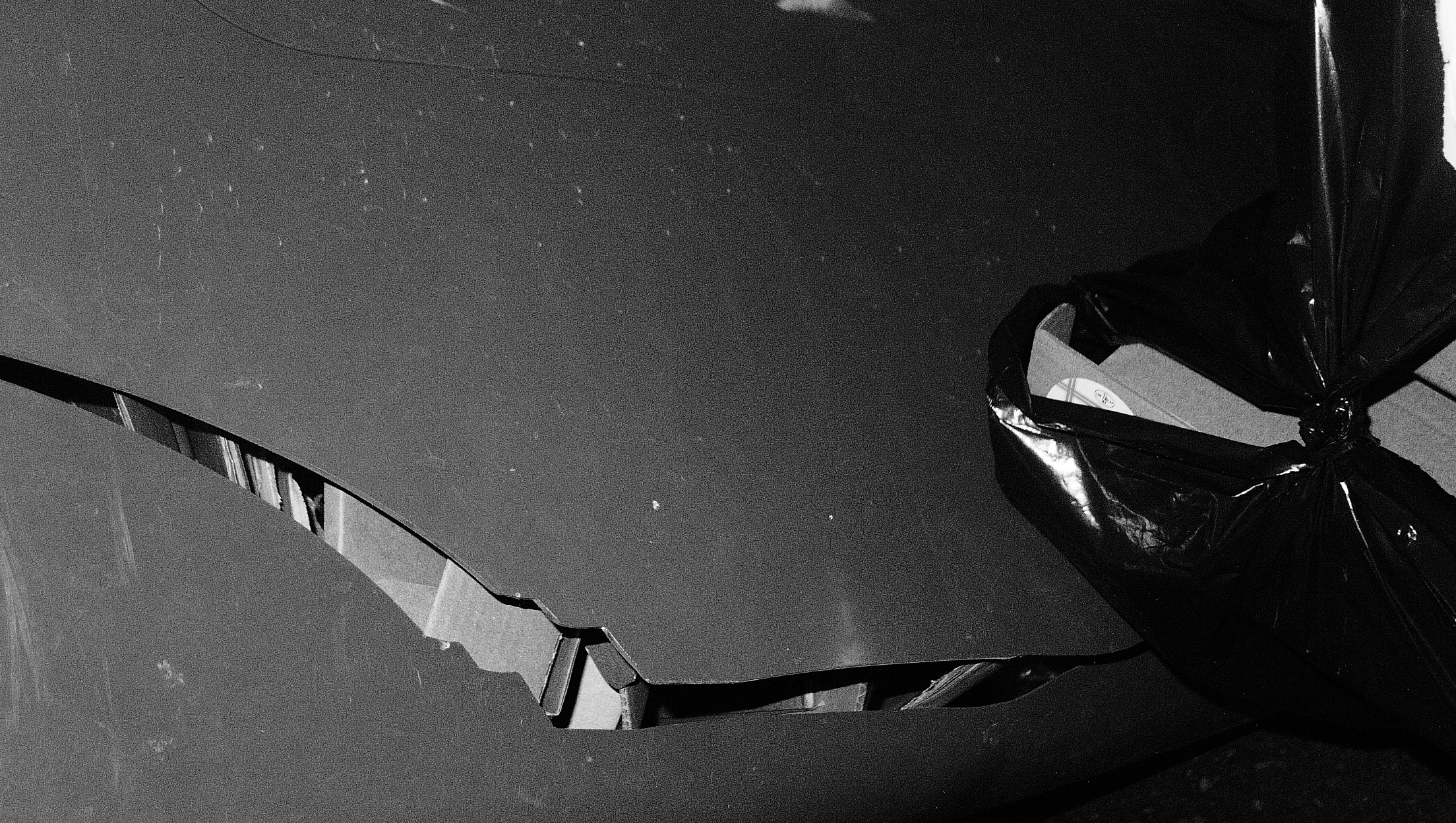 Multispecies tour image 2