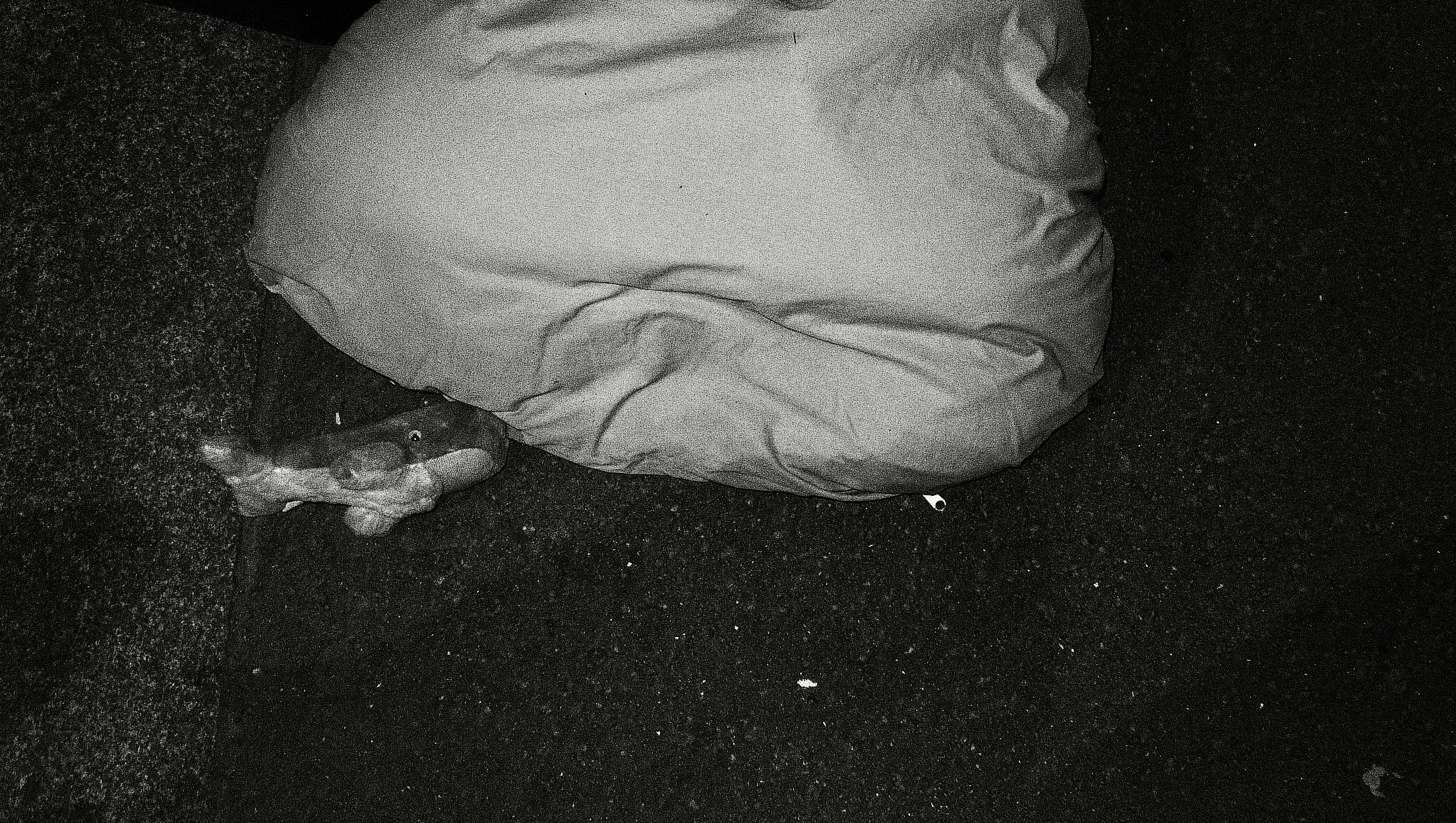 Multispecies tour image 3