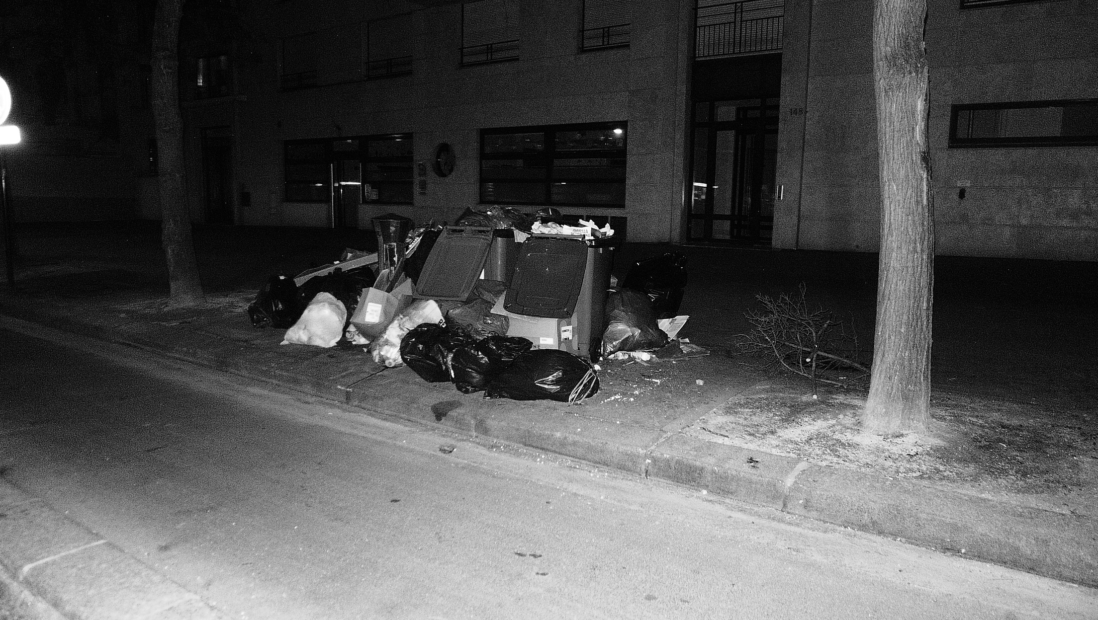 Multispecies tour image 4