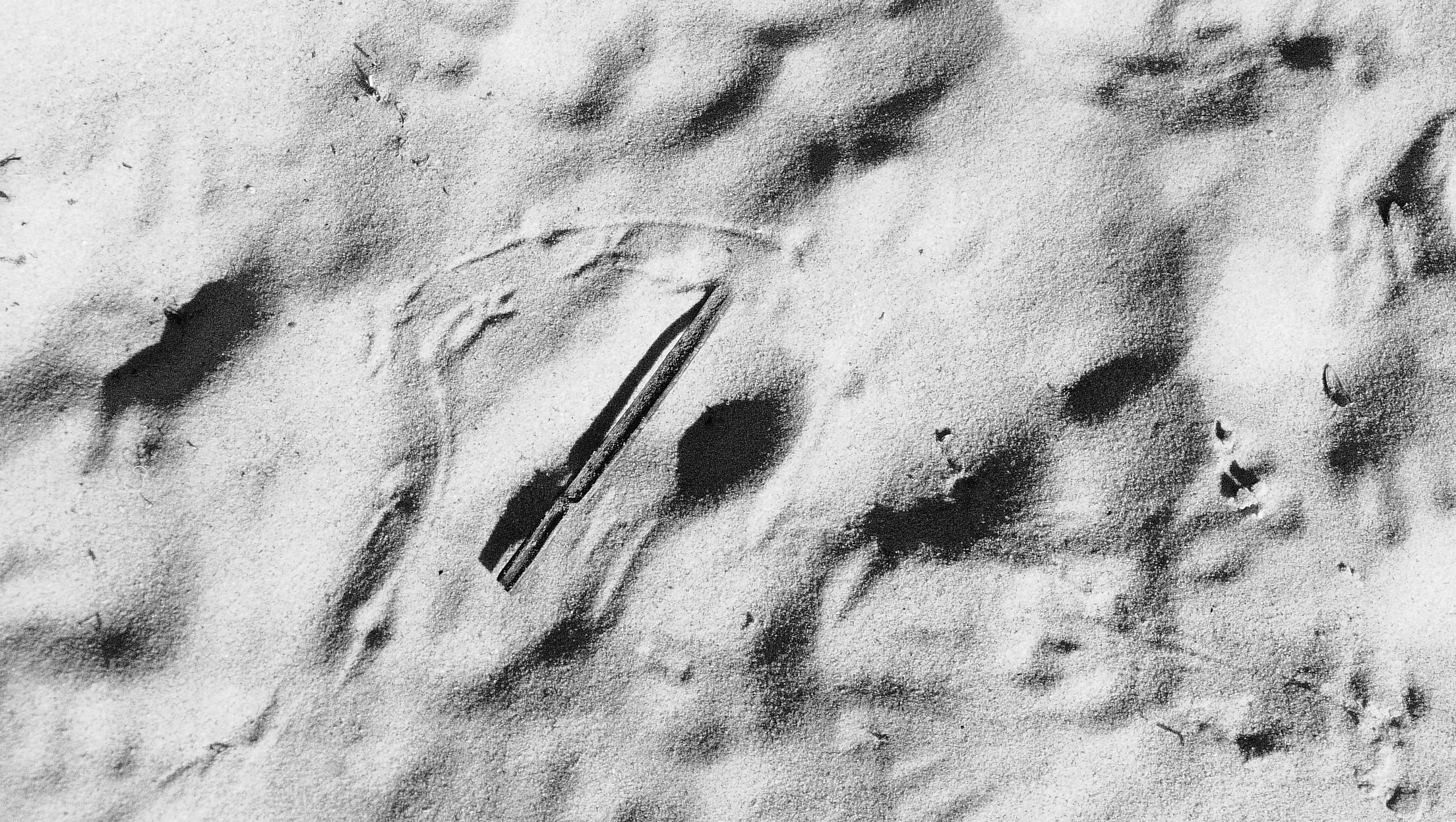 Oceanity in contemporary art preview